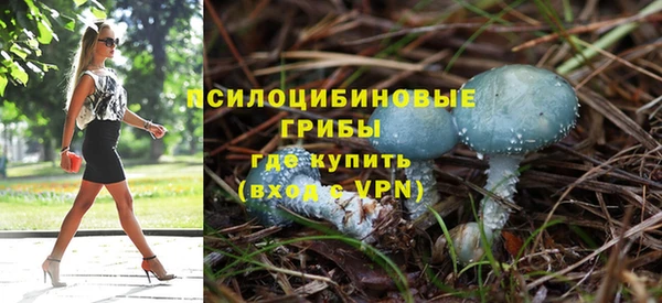 МДМА Дмитриев