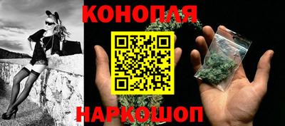 гидра Будённовск