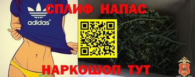 spice Кинель