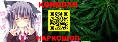 гидра Будённовск