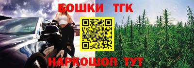 гидра Будённовск