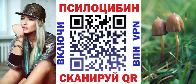 Псилоцибиновые грибы мицелий  сколько стоит  мориарти формула  Иваново 