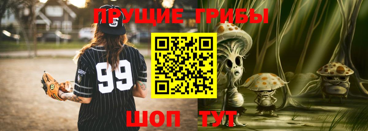 Псилоцибиновые грибы Psilocybe Иваново